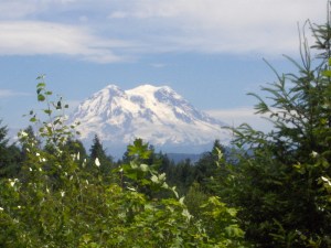 Mt Rainier as seen from near Yelm, Washington