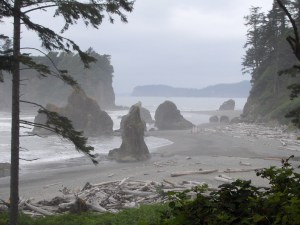 Pacific Ocean off Washington State Coast